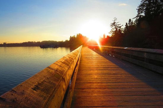 Ed Macgregor Park Beach