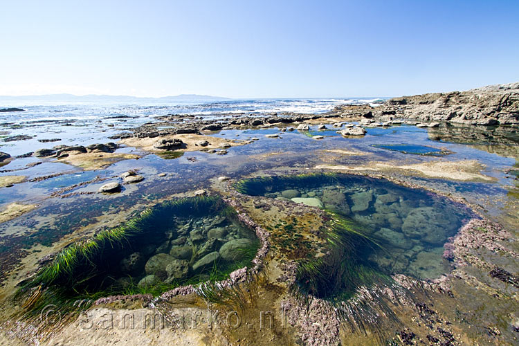 Sooke Botanical Beach